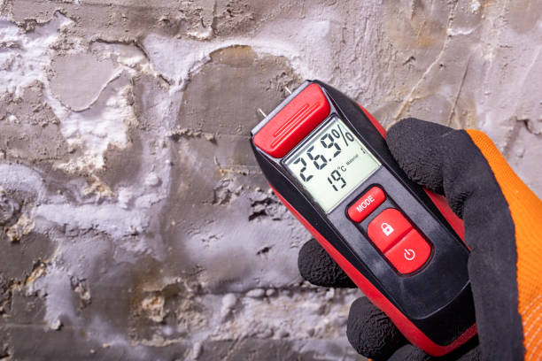 Best Mold Damage Repair  in Calera, OK