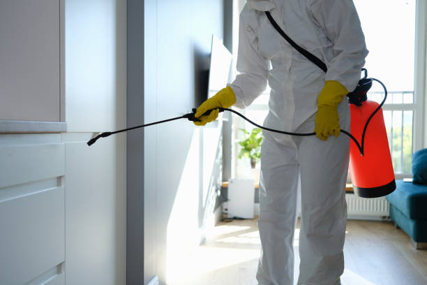 Best Certified Mold Removal  in Calera, OK